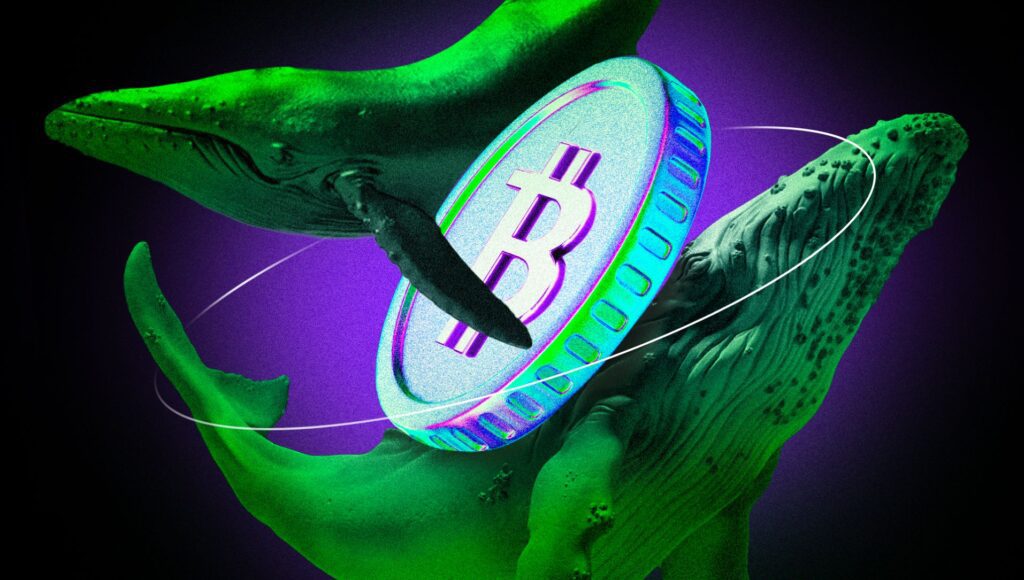 Crypto whale bets $1.2 billion bitcoin bets on high lipids