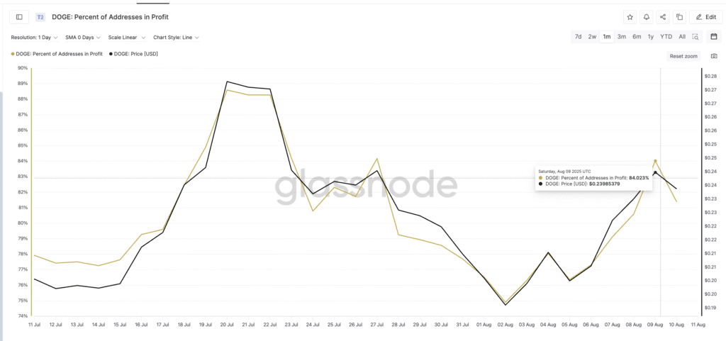Dogecoin price faces the risk of making profits one