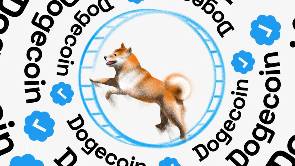 Pay attention to dogecoin price this monday: will doge go